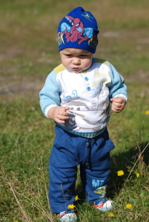 Наши прогулки