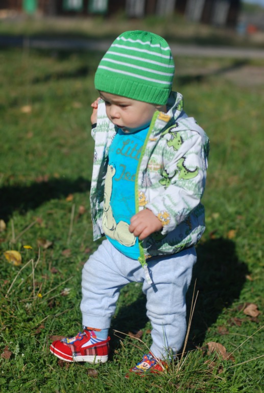 Наши прогулки