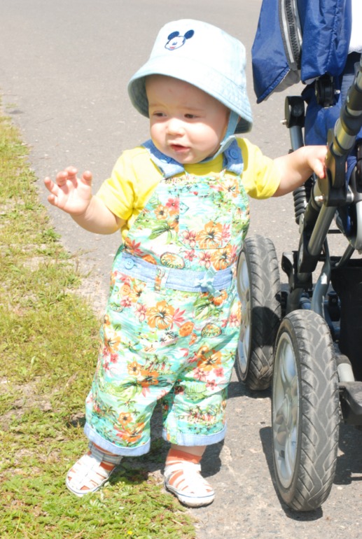 Наши прогулки