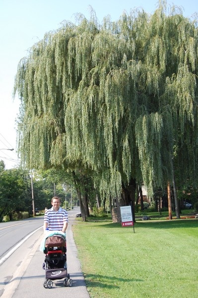 ИИ 4 дня. Гулятельное.