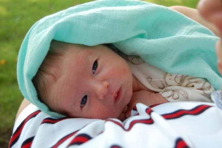 ИИ 4 дня. Гулятельное.