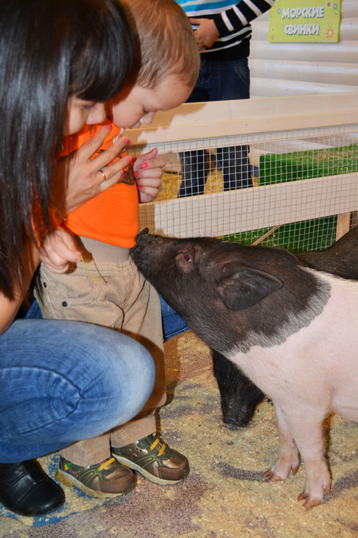 Отличный выдался денек!..