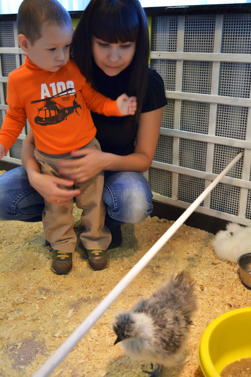 Отличный выдался денек!..