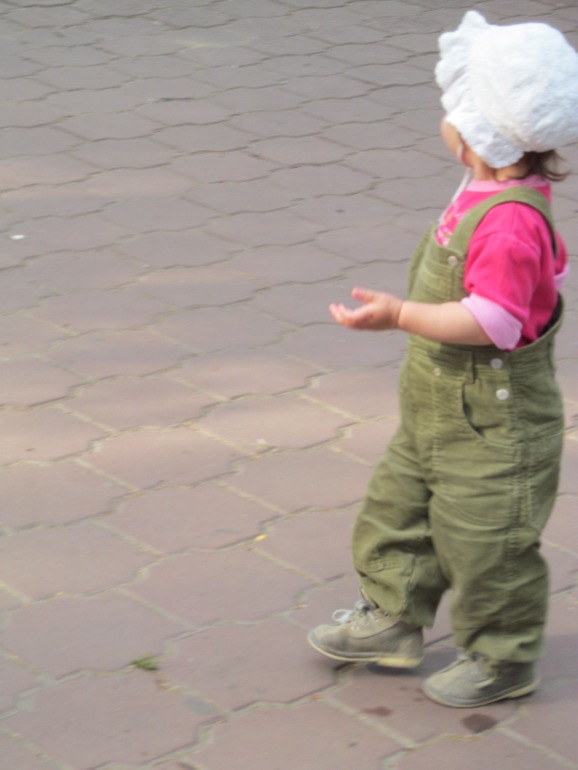816a9fe057643c951ea42dd1734fe553.jpg