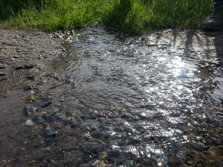 Лето летнее. Часть раз