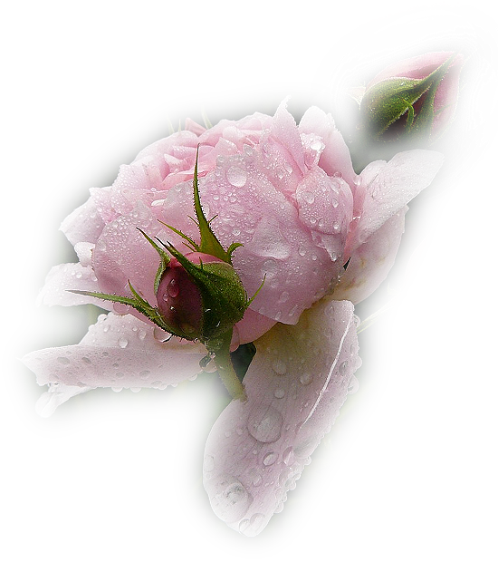 8bc6255bfb939d49dae18d70b2aeb44a.png