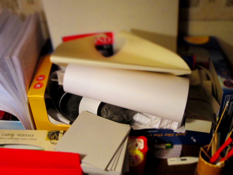 Мурз в 2 мес и в 8 мес:)