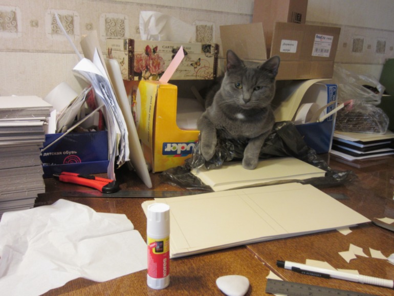 Мурз в 2 мес и в 8 мес:)