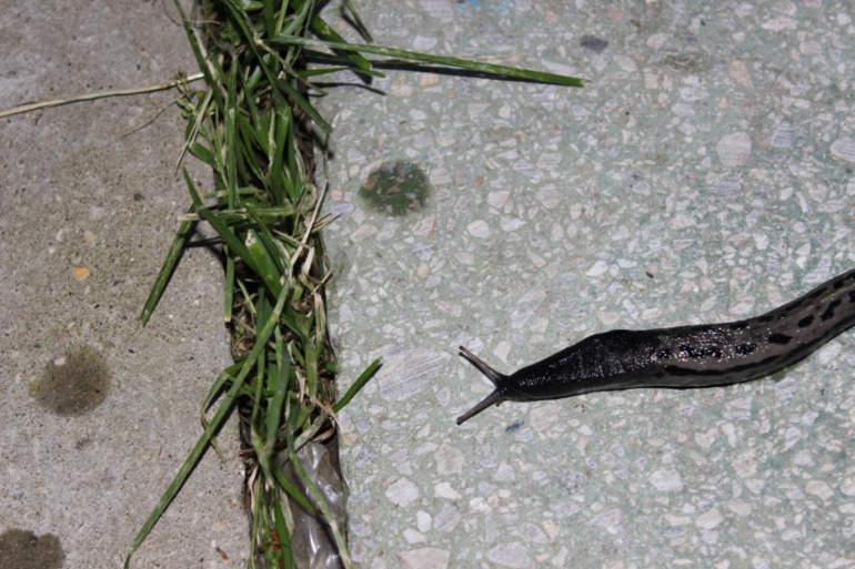 Фотки с нового фотика...