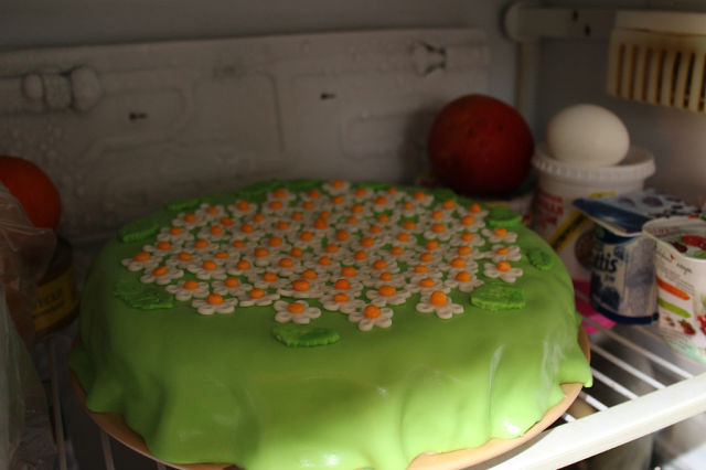 Торт Маше из мастики с ромашками..