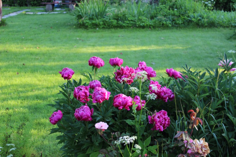 Фотки с нового фотика...