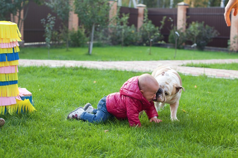 Про нашл годик)
