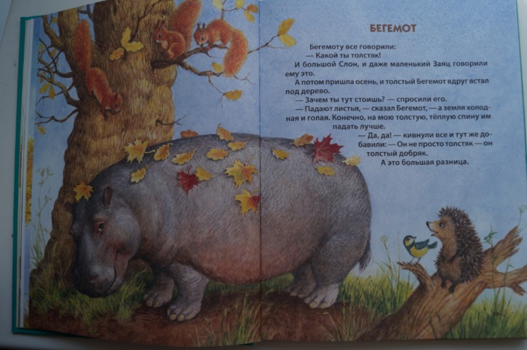 наши осенние книги