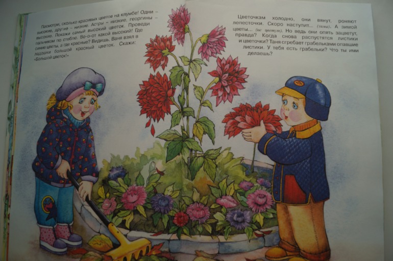 наши осенние книги