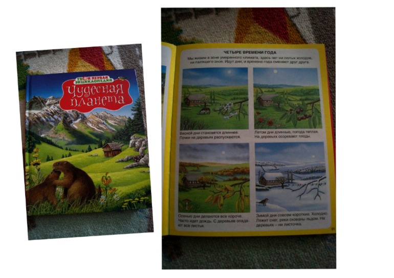 наши осенние книги