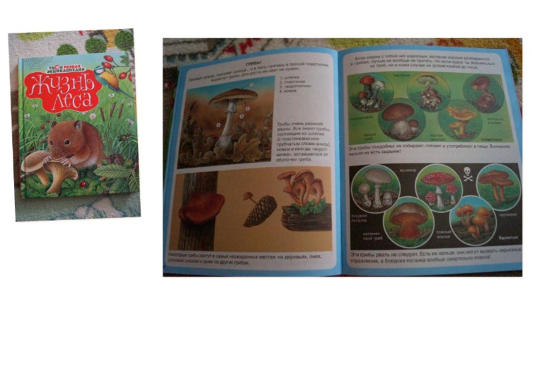 наши осенние книги