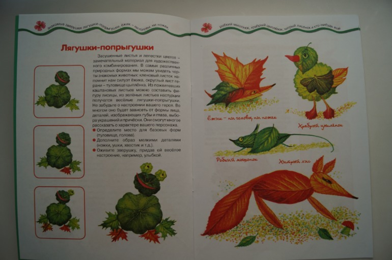 наши осенние книги