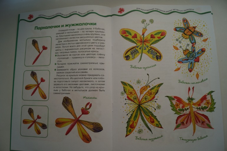 наши осенние книги