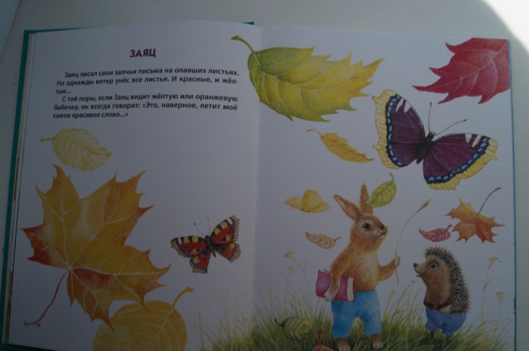 наши осенние книги