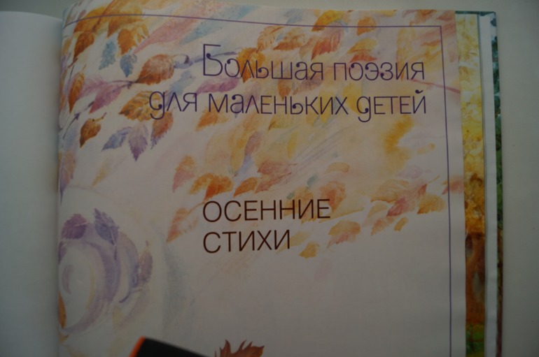 наши осенние книги