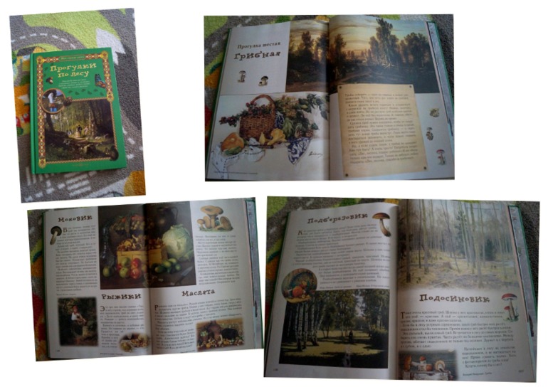 наши осенние книги