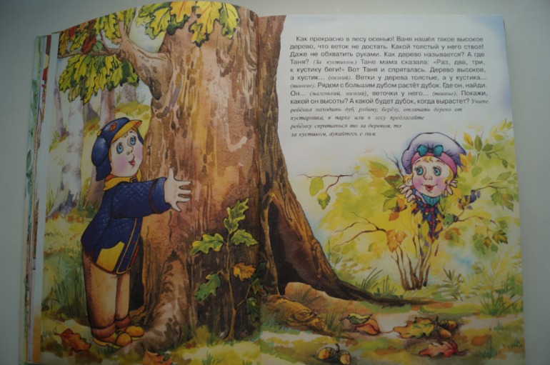 наши осенние книги