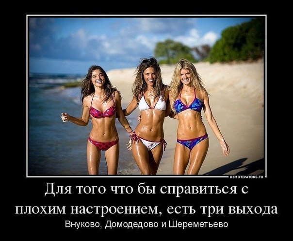 201f8436d395b519846c28364aee0c79.jpg