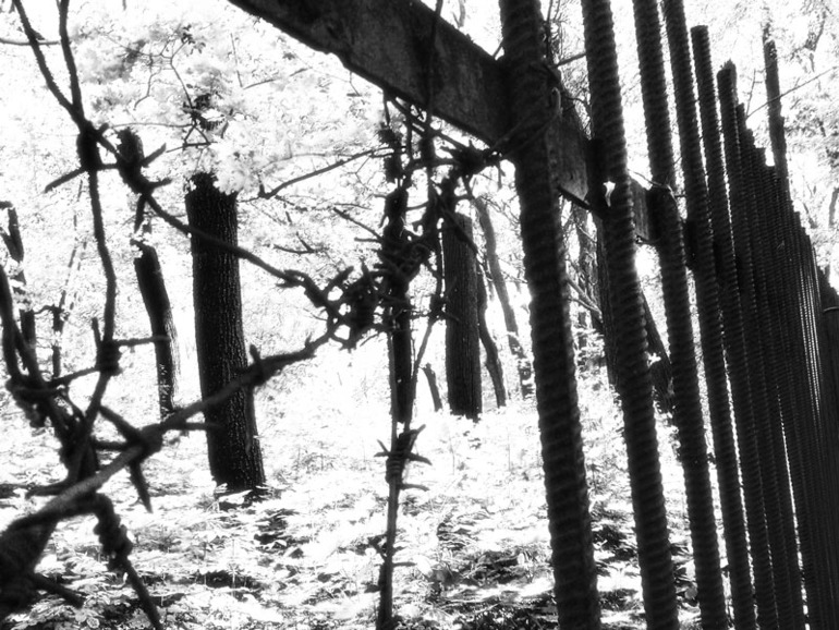 Пенза. Заключительное.