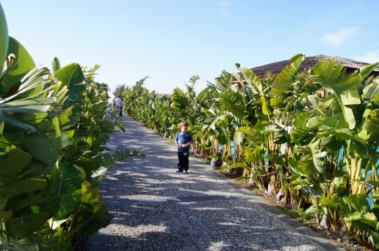 Ну что, кто хотел в MAXX ROYAL DELUXE 5* в январе? ПОРА!