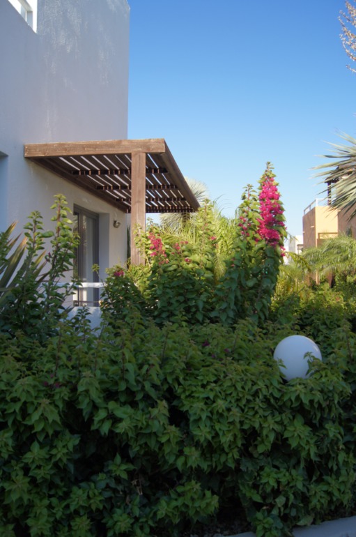 Прилетели! Греция, Родос, наш незапланированный отпуск)