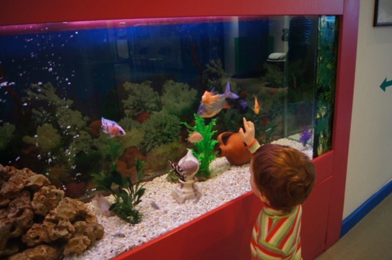 Ну что, кто хотел в MAXX ROYAL DELUXE 5* в январе? ПОРА!