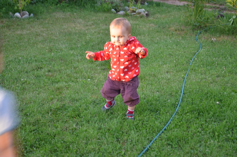 538ac825f044ca7cc9486c28256f49fb.jpg