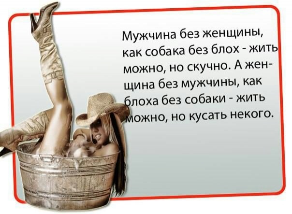 079d8ce86d695d7f60be5581e5c55c57.jpg