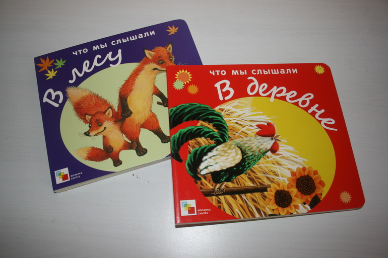 Книжки с кармашками