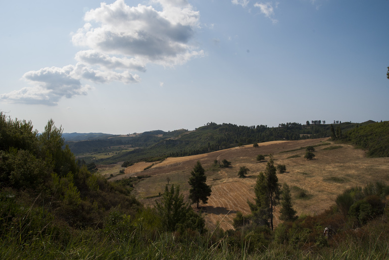 d46ab222c0f6665cc82663566e18db74.jpg