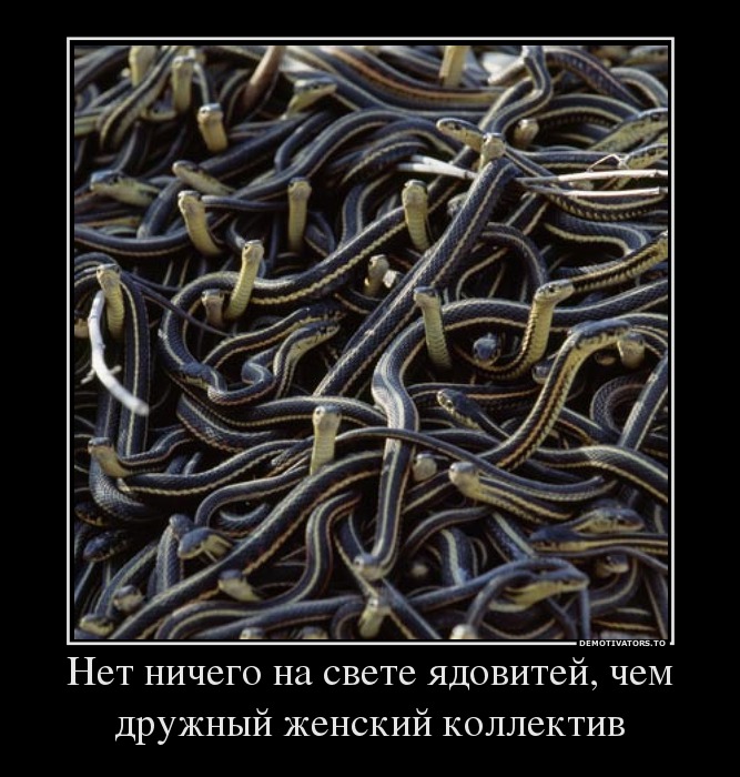 e252c5e95a6215ab8a9adc0079839f3d.jpg