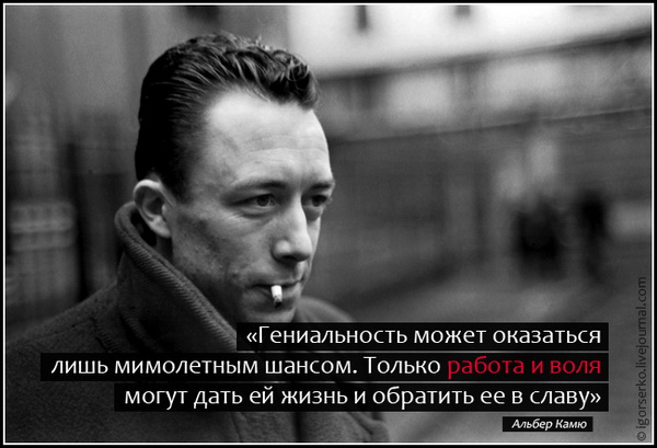 373b81ca9822db2cac47c8d310c3f4e8.jpg