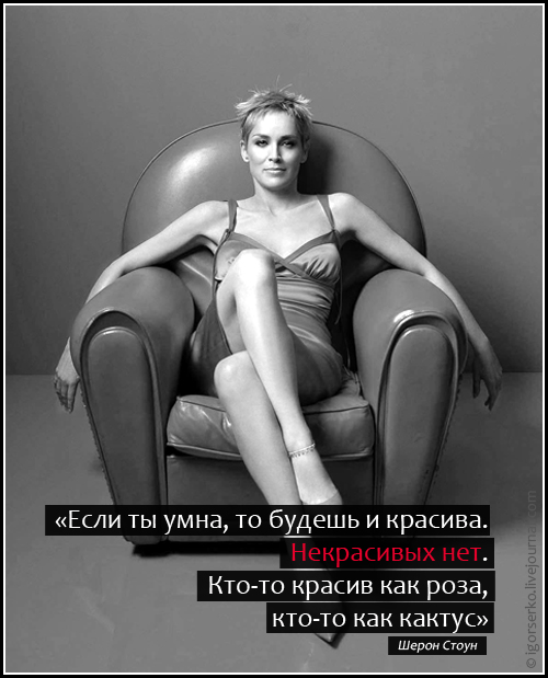 7c2696cef5e34e2356b799127c5bd30a.jpg