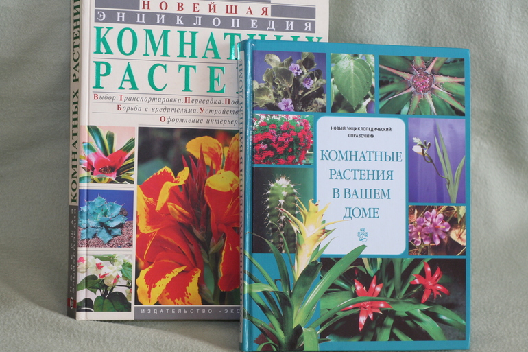 60bf04461dafff4cb18efb39f5829b01.jpg