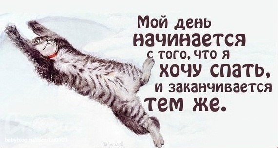 a4acccd3b3aecc3d20eb949f130fc942.jpg