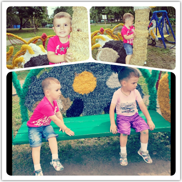 d92979f0b413f8220379aabd1aac73a5.jpg