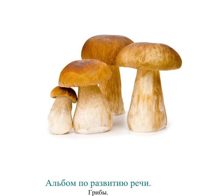3a29e753b27ec89c7930e26a353f3798.jpg