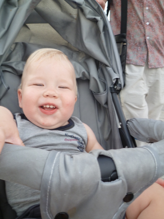 Звуки животных.