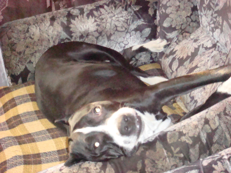 Прощай,друг!