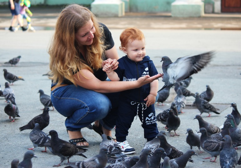 Почему кормят голубей. Кормить голубей. Дети голубей. Дети кормят птиц. Детки с детками птиц.