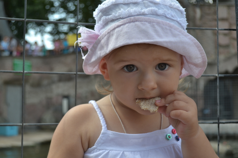 2cbcb17d202564116fcb1b7d5618ba21.jpg