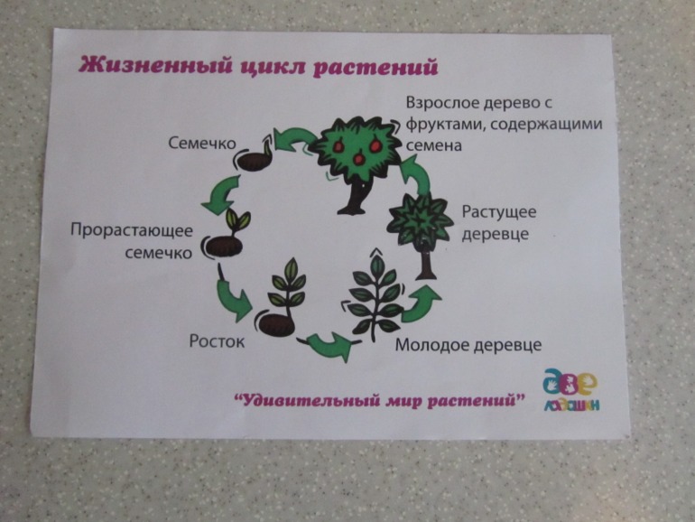 34225526b87de22c4aa035ba561b57d6.jpg
