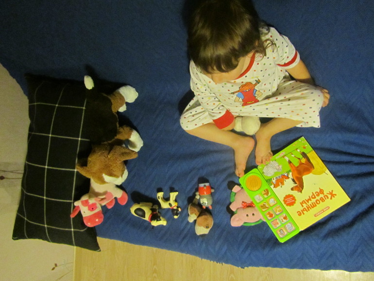 63fabe7576d81315e7d864ae279be6f0.jpg