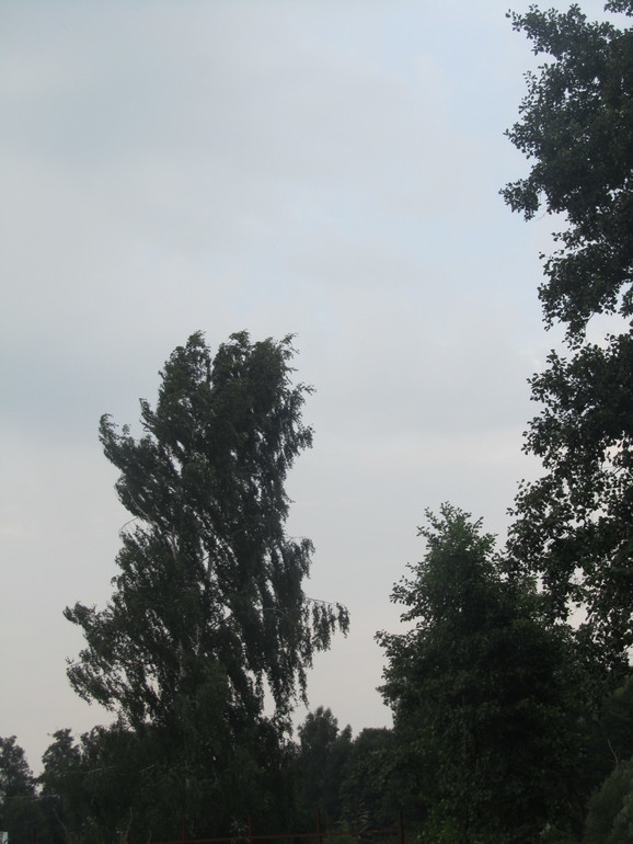 a2ce94c5223d510aabc1032c8cf9b85f.jpg