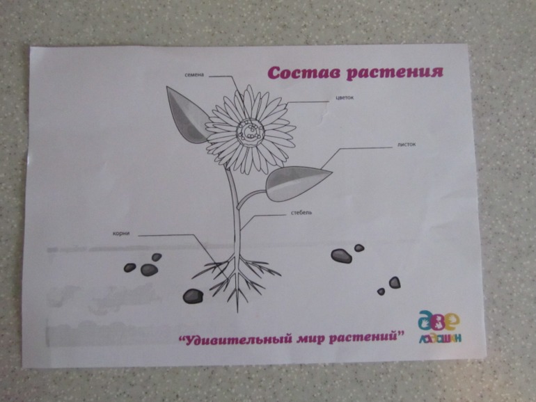 bbc3e85ddf29aaf50d3d714651e1c485.jpg
